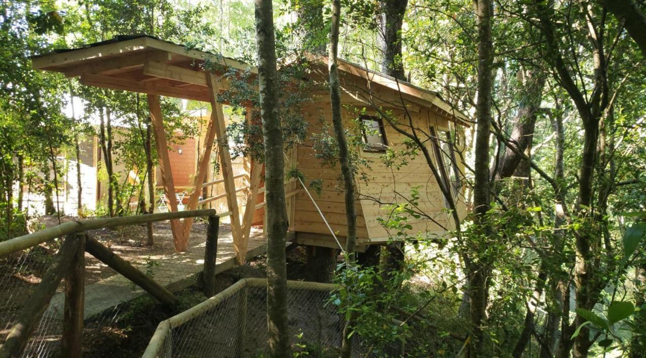 Cabanas Bosques De Loncotraro Hotel Villarrica Exterior photo