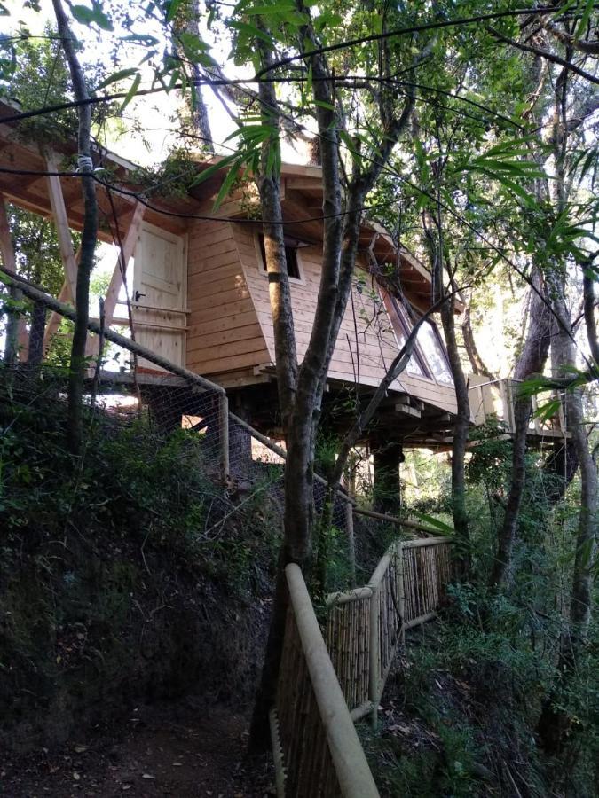Cabanas Bosques De Loncotraro Hotel Villarrica Exterior photo